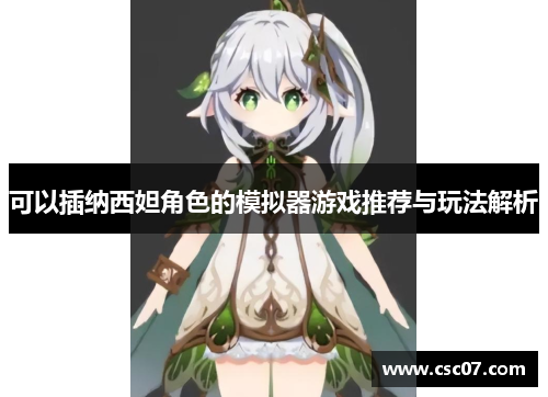 可以插纳西妲角色的模拟器游戏推荐与玩法解析 可以插纳西妲角色的模拟器游戏推荐与玩法解析